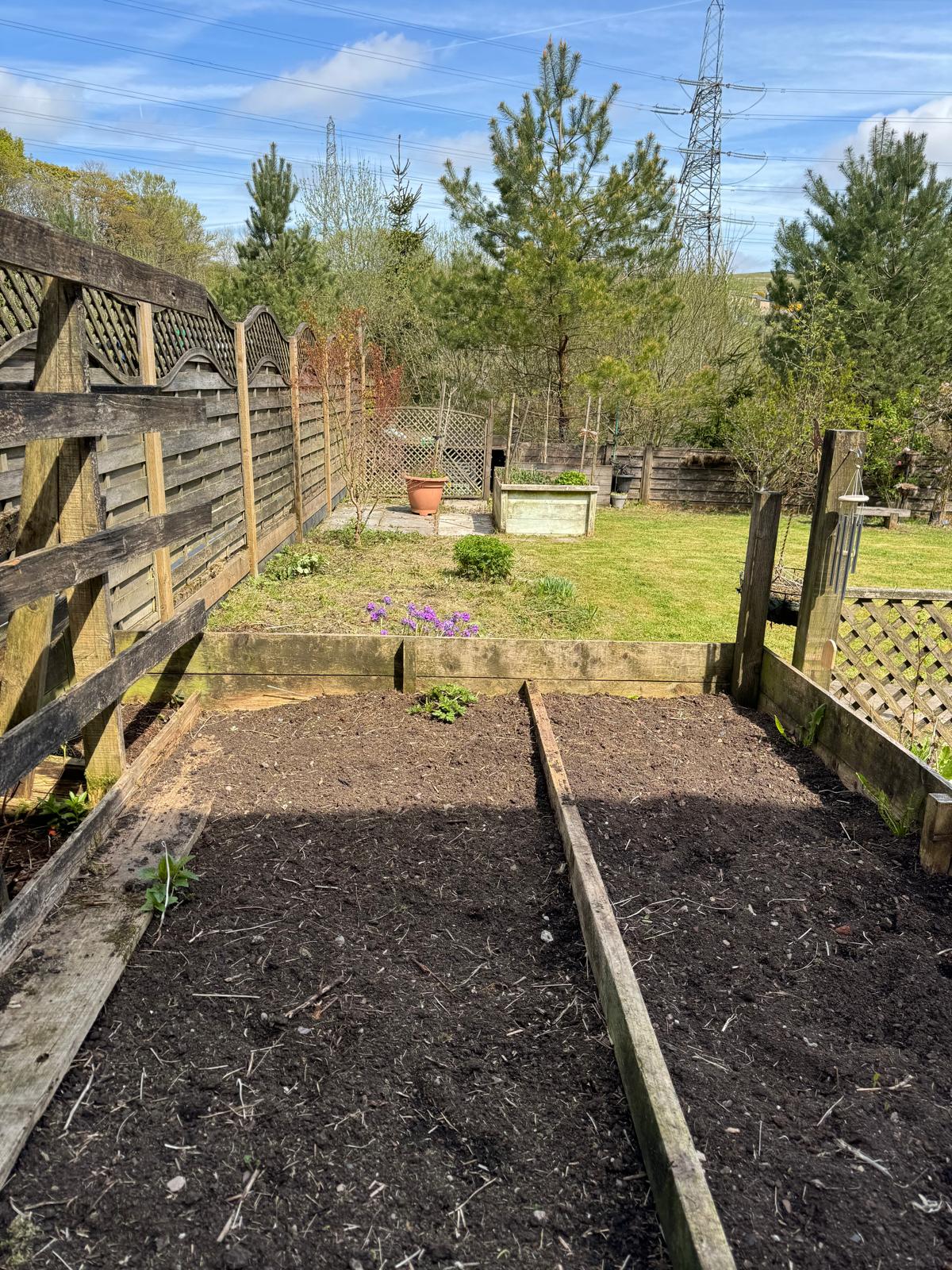 Regular Garden Maintenance